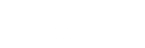 Firebird Electro-Optics