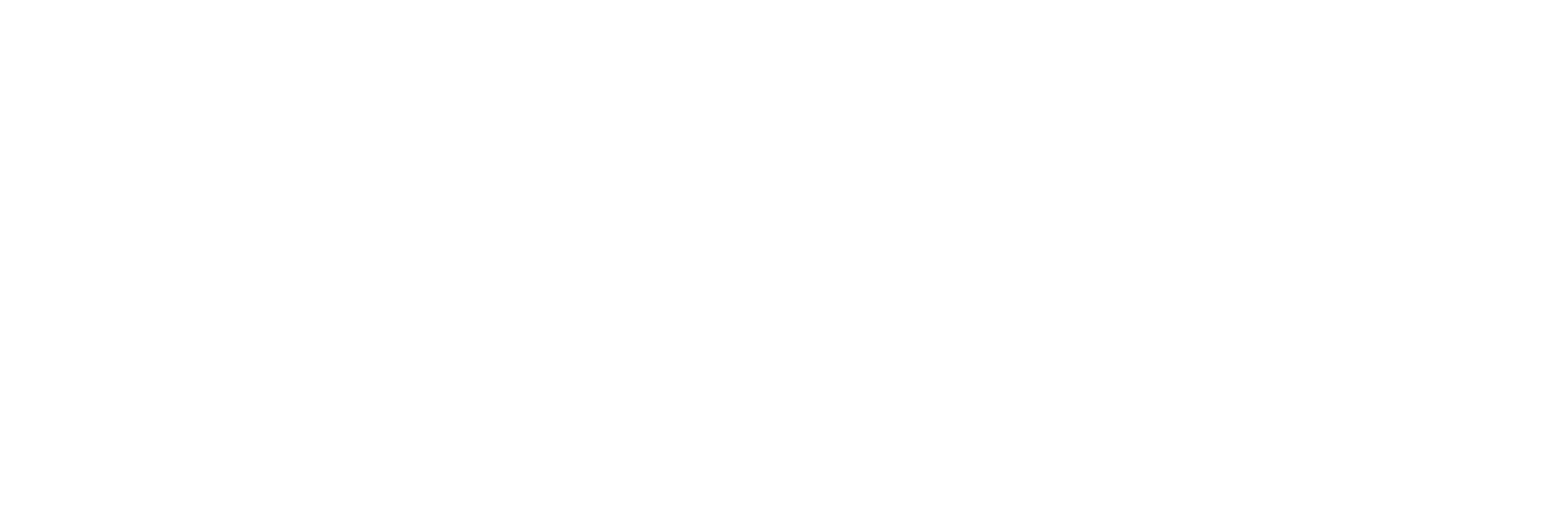 Firebird Electro-optics LLC logo